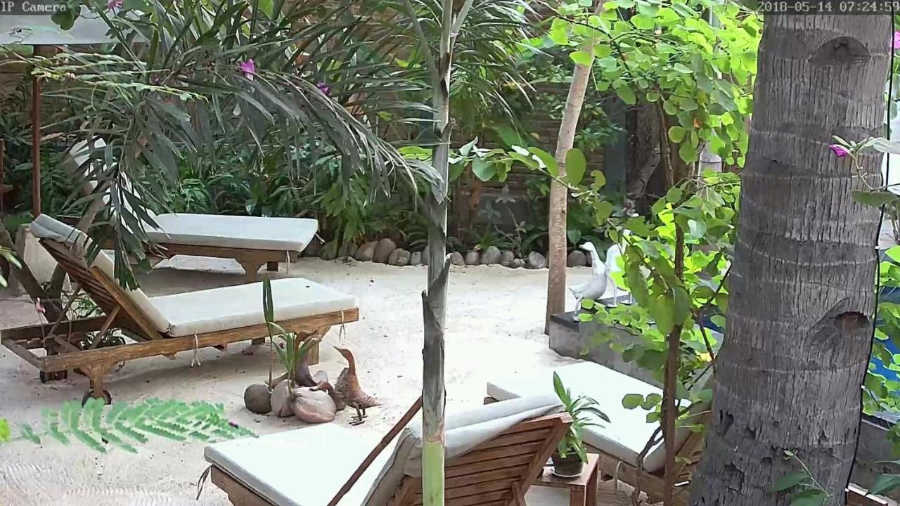 Villas Light House - Eco-Traditional Joglo Gili Trawangan Exterior foto