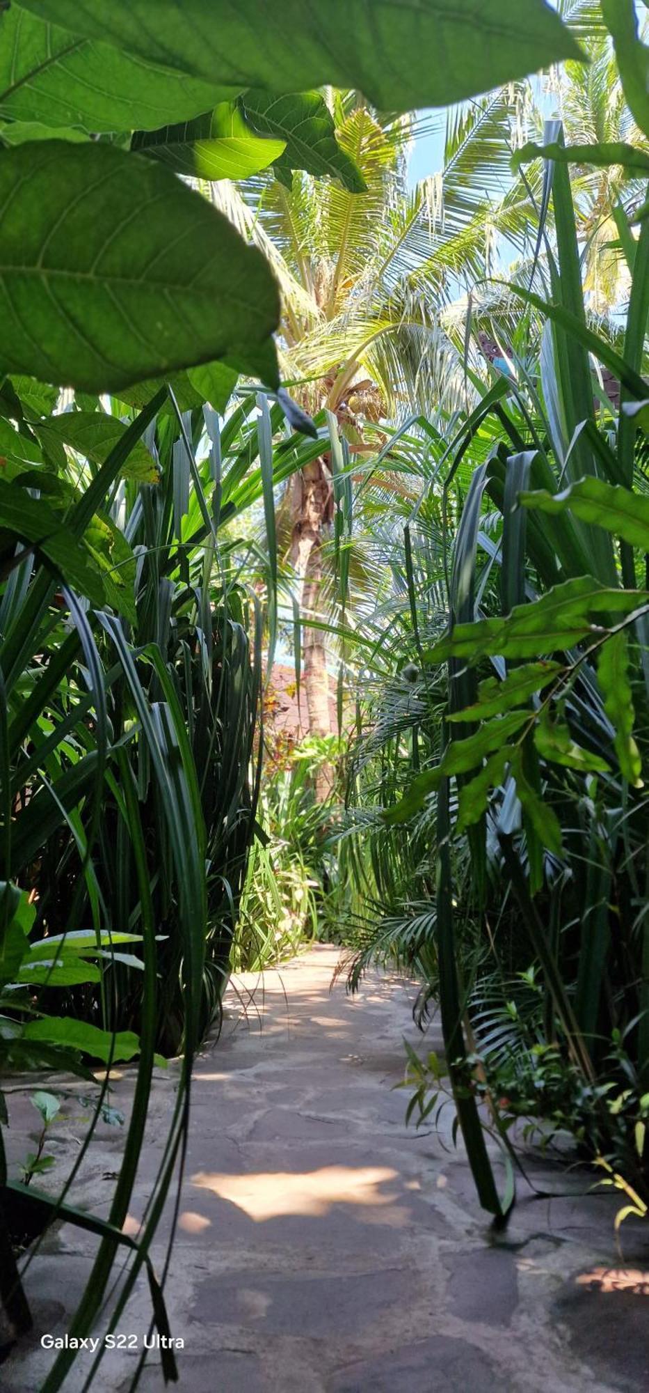 Villas Light House - Eco-Traditional Joglo Gili Trawangan Exterior foto